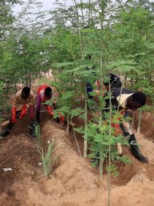Hoffnung für Niger e. V. - Ausbildungspatenschaft Landwirtschaft
