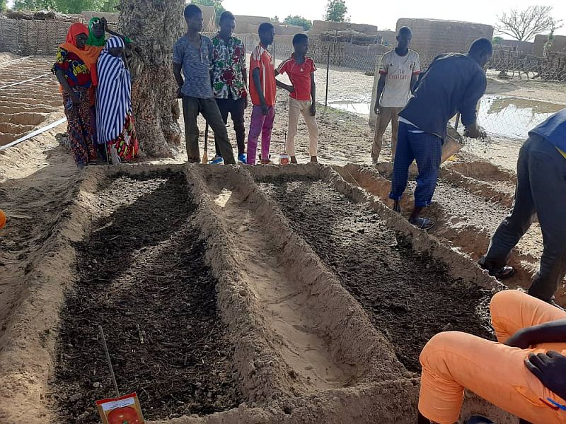 Hoffnung für Niger e. V. lanwirtschaftliche Arbeiten