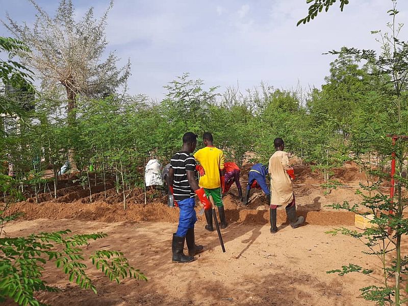 Hoffnung für Niger e. V. nachhaltige Landwirtschaft