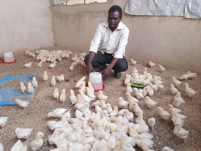 Hoffnung für Niger e. V. nachhaltige Viehwirtschaft