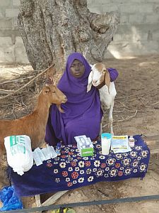 Hoffnung für Niger e.V., Projekt Lanwirtschaftliche Ausbildung, Veterinär-Kit