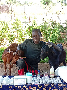 Hoffnung für Niger e.V., Projekt Lanwirtschaftliche Ausbildung, Veterinär-Kit