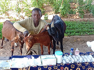 Hoffnung für Niger e.V., Projekt Lanwirtschaftliche Ausbildung, Veterinär-Kit