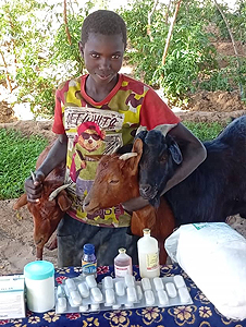 Hoffnung für Niger e.V., Projekt Lanwirtschaftliche Ausbildung, Veterinär-Kit